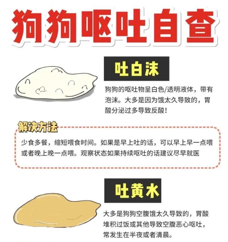 为什么狗会吐东西？（探究狗吐东西的原因及预防方法）