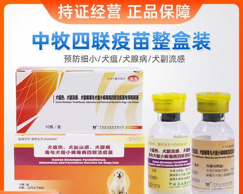狗疫苗——保护你的宠物健康的重要措施（了解不同疫苗种类及费用，让你的狗狗远离疾病）