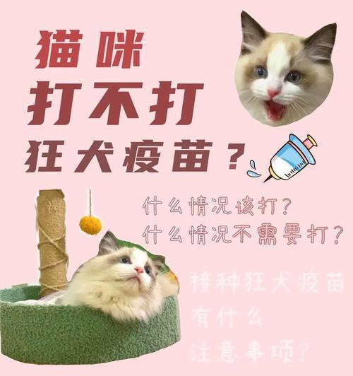 狗狗三个月打狂犬疫苗的重要性（保护宠物健康的必要措施）