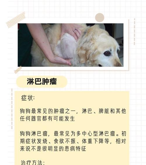 犬患肥大细胞肿瘤的成因及预防措施（深入探究肥大细胞肿瘤发生原因，为您的爱犬保驾护航）