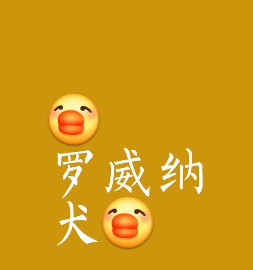 为什么罗威纳犬早晨会叫？（探究罗威纳犬早晨叫的原因及解决方法）