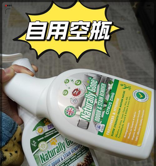 有效去除狗尿味的方法（使用什么去除狗尿味最有效）