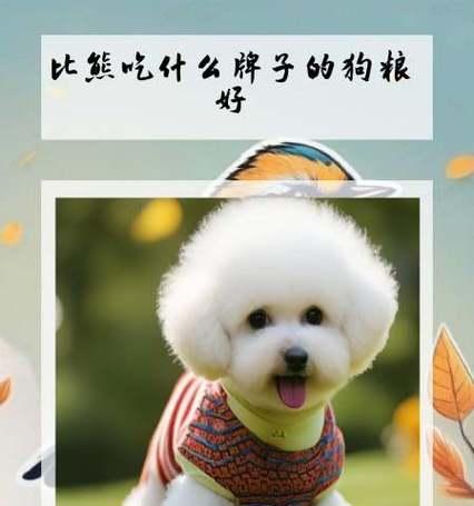 五个月大比熊可以吃哪些水果？（让你的小比熊健康成长的水果选择指南）