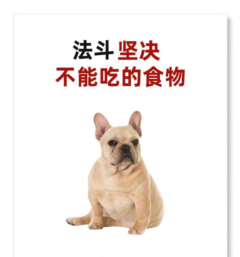 如何科学合理地喂养法国斗牛犬（探索营养均衡的饮食和健康生活方式）
