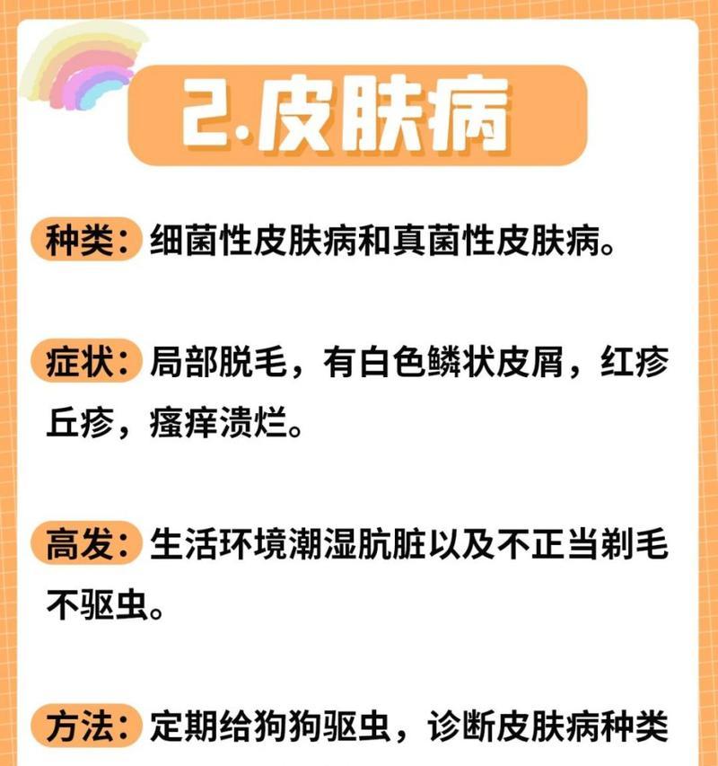 狗类传染病对人类的健康影响（深入了解狗类传染病，保护人类健康）