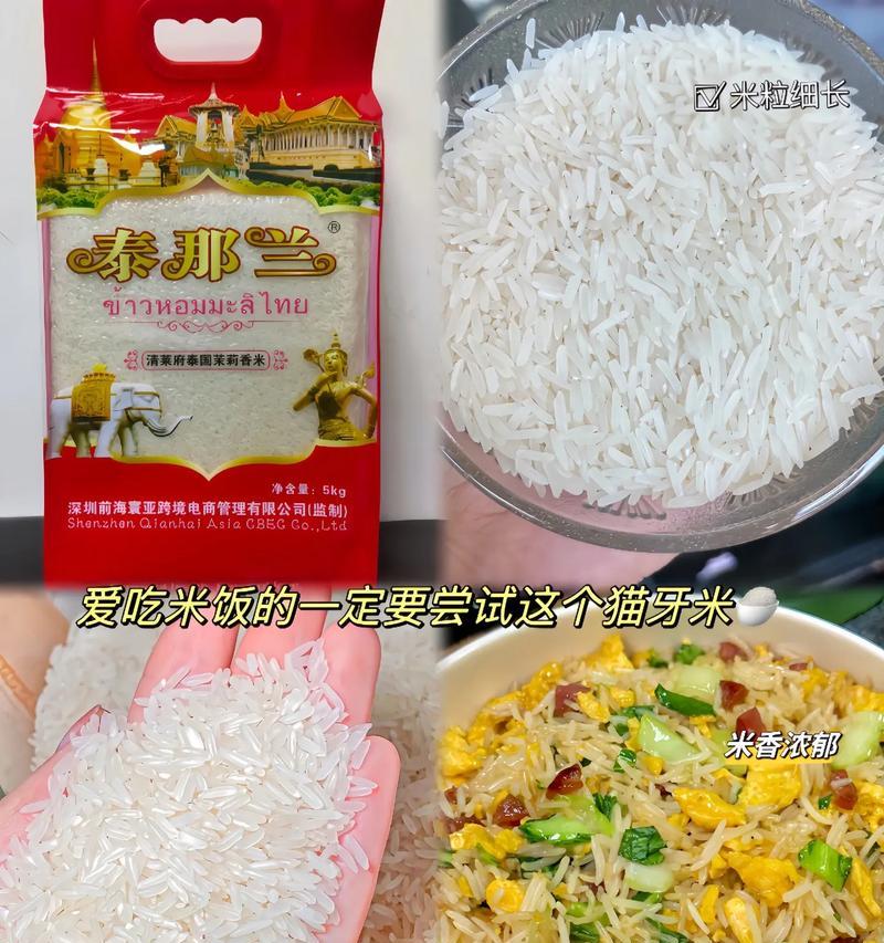 老年猫的牙不好，如何调整饮食习惯？（老年猫缺牙或牙龈疾病对食物的影响及解决方法）