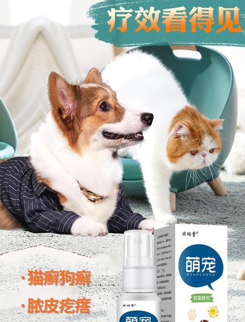狗体温过高的治疗方法（药物疗法在处理狗体温过高问题中的关键作用）