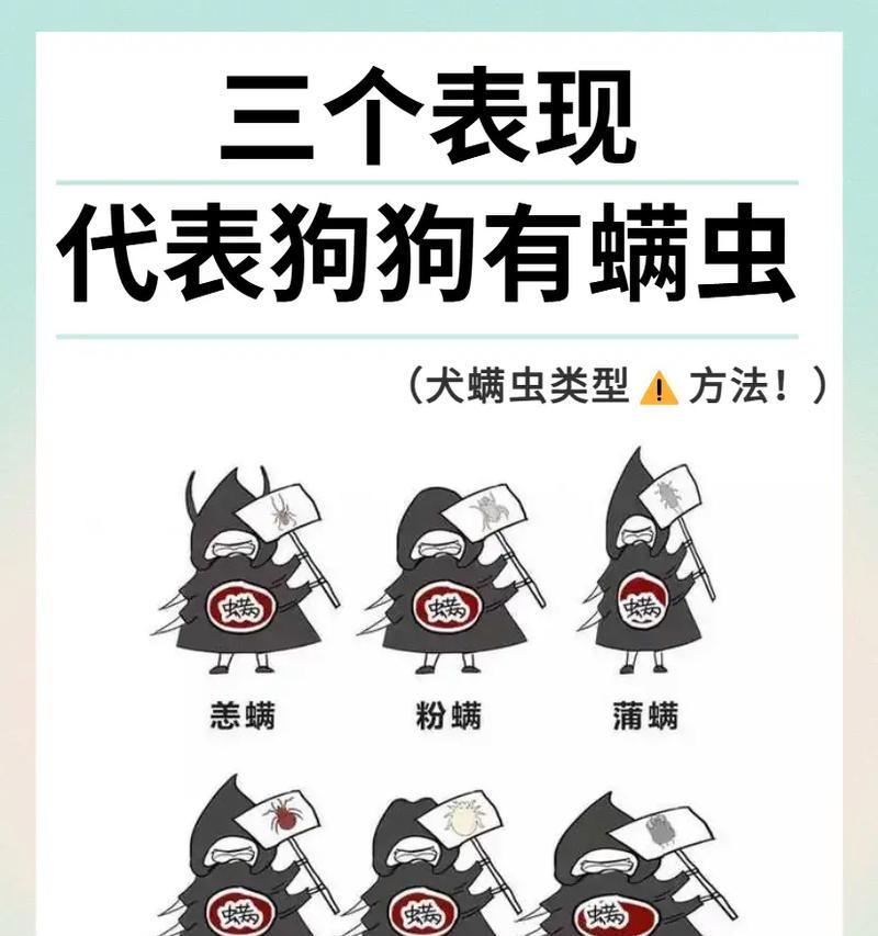 狗得螨虫的症状与预防措施（狗螨虫感染带来的健康问题及防治方法）