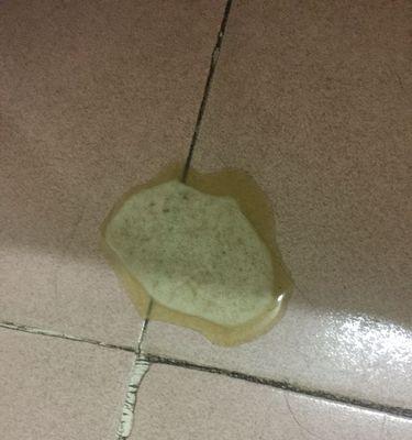 金毛的饮食健康问题探究（了解金毛吃什么和吐什么的原因，保障它的健康成长）