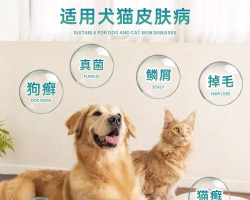 治疗狗狗皮肤过敏的药膏选择指南（选择适合的药膏帮助缓解狗狗皮肤过敏症状）