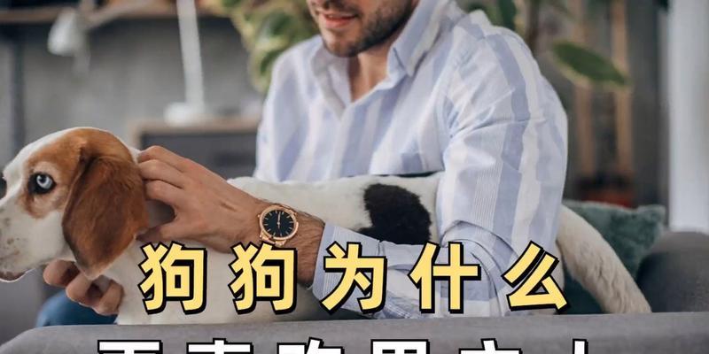 狗越来越像主人的原因与影响（探究狗和主人之间的相似性与关联性）