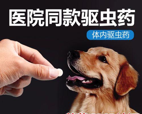 探索猫咪驱虫药的选择和使用方法（综合比较市场上常见的猫咪驱虫药，为您解析最佳选择）