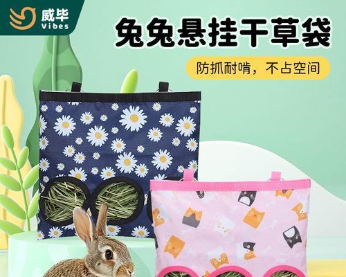 如何为2个月大的龙猫选择适宜的草料（龙猫喂草料的注意事项及建议）