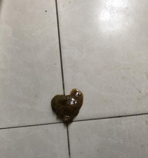 探究狗狗粪便的化验项目（了解狗狗健康的窗口，狗狗粪便分析）