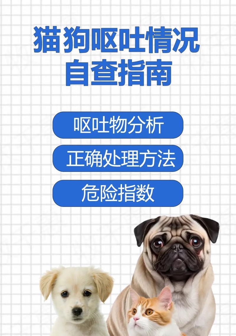 狗犬呕吐的原因及处理方法（了解狗犬呕吐的常见原因和应对策略）