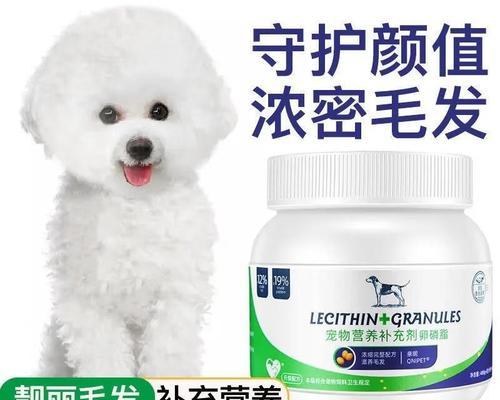 泰迪吃什么毛亮？（探究泰迪狗独特的饮食需求和美毛秘诀）