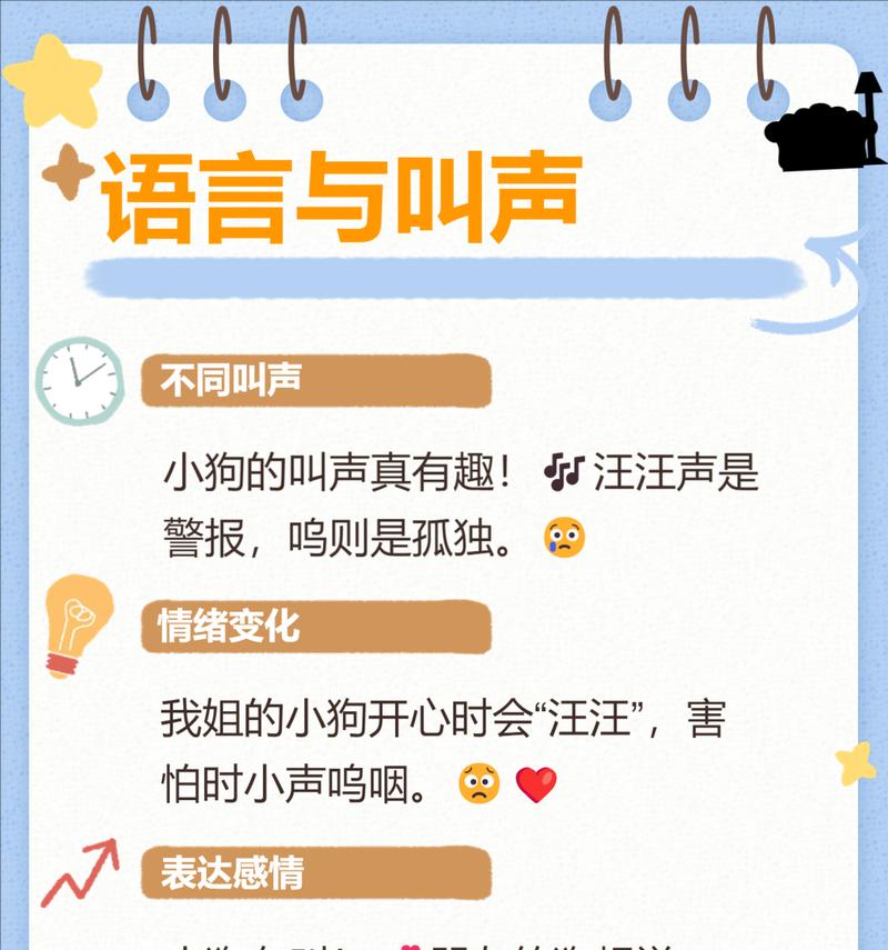 小狗的习性与特点（探索可爱小狗的行为和喜好）
