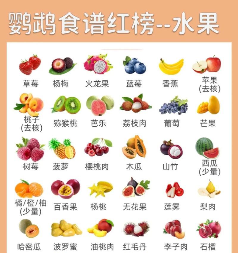虎皮鹦鹉的肉食主食及营养需求（了解虎皮鹦鹉的饮食习惯与肉食偏好）