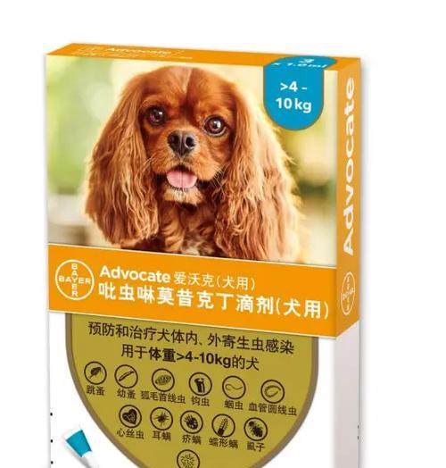 给狗狗涂药需要注意的事项（保证安全有效的狗狗涂药，你需要了解这些关键要点）