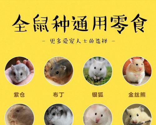 如何预防和处理仓鼠胀气问题（胀气原因、饮食调理和日常护理关键）