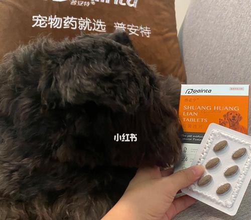 狗打喷嚏喘，该吃什么药好？（救救我的狗，治疗打喷嚏喘的有效药物！）
