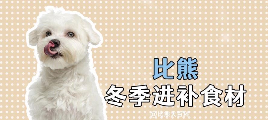 比熊狗狗拉稀应该吃什么？（解决比熊狗狗拉稀问题的最佳饮食方案）