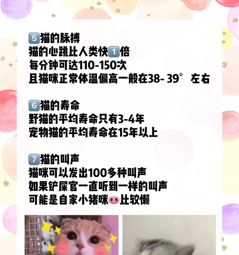 为什么猫的寿命比人短？（探究猫咪寿命较短的原因）