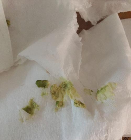 泰迪细小后期症状（细小后期症状及预防关键措施，保护我们的泰迪宝贝）