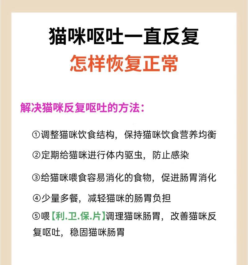 小猫吐的原因和解决办法（探索小猫吐的常见原因以及有效的解决方法）