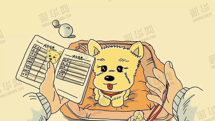 为狗上户口的好处（狗狗身份认证，享受权益）