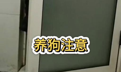 狗狗的大便——为什么如此重要？（探讨狗狗大便的健康与行为）