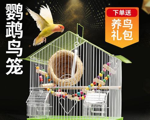 以虎皮鹦鹉繁殖窝里放什么最合适？（探究虎皮鹦鹉繁殖窝的理想填充物）