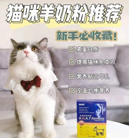 猫咪生产后的饮食需求（宝贝降生，猫咪需要什么样的营养？）