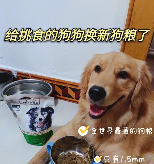 小狗换了狗粮会带来什么变化？（探讨小狗换食物对健康的影响）
