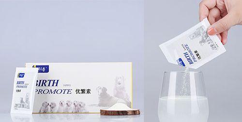 狗怀孕期间的饮食需求（狗妈妈的健康福音——营养全攻略）
