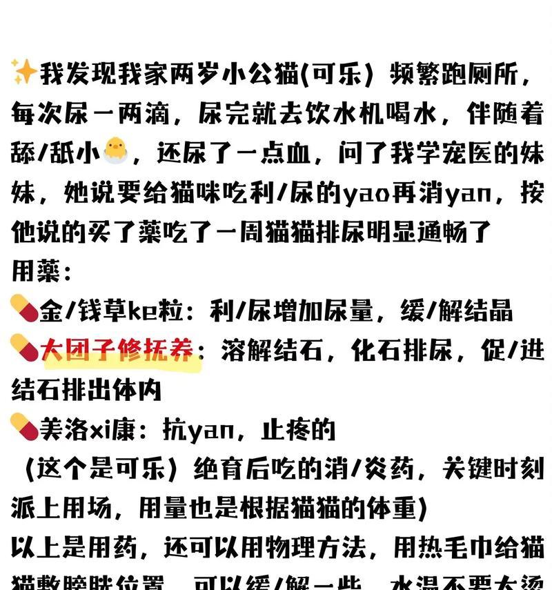 猫咪尿不出来的原因及恢复方法（探索猫咪尿不出来的可能原因以及相应的解决方案）