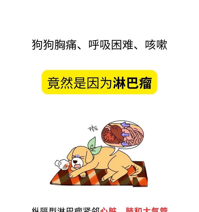 狗狗为什么会喘气？喘气原因揭秘！（探究狗狗喘气的原因及对策，助你更好地照顾宠物伙伴。）