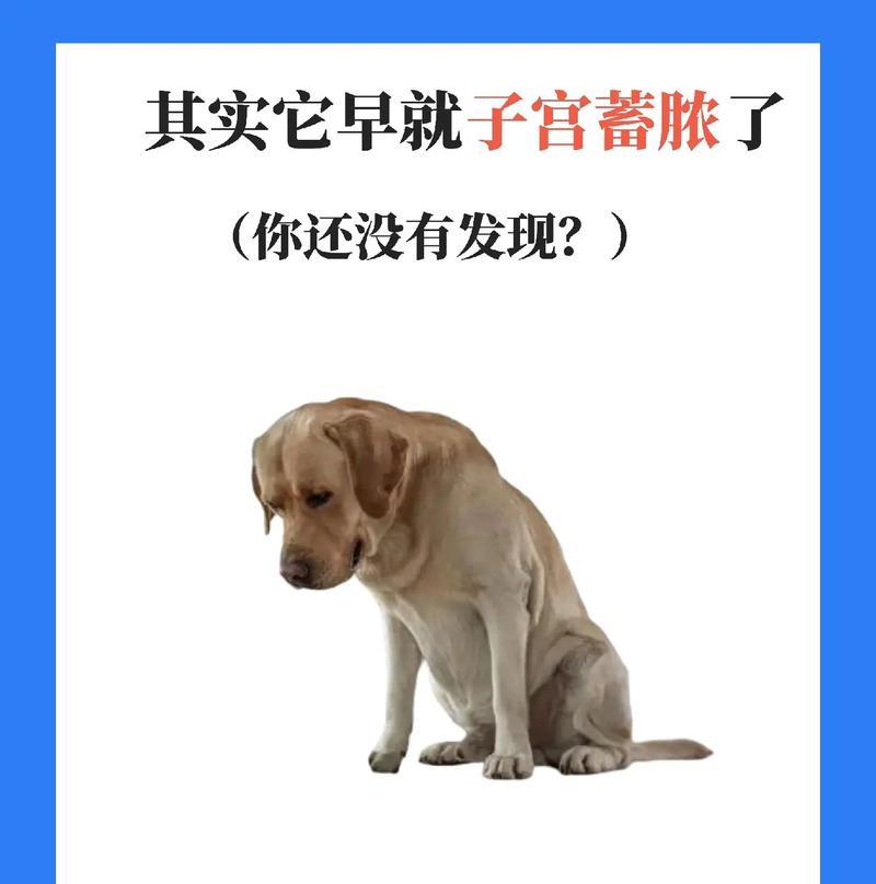 不适合养狗的人群（解读适合养狗的人群）