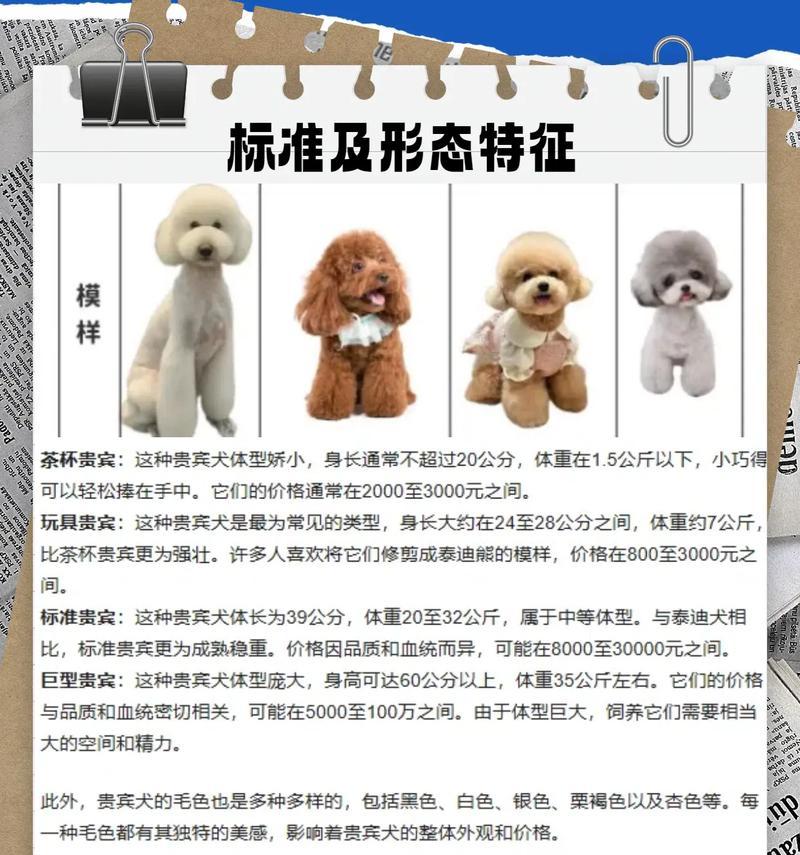 贵宾配种显怀周期的探讨（探索贵宾犬配种后怀孕的时间周期及相关因素）