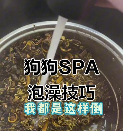 狗狗药浴的最佳频率（保护宠物健康的关键在于定期药浴）
