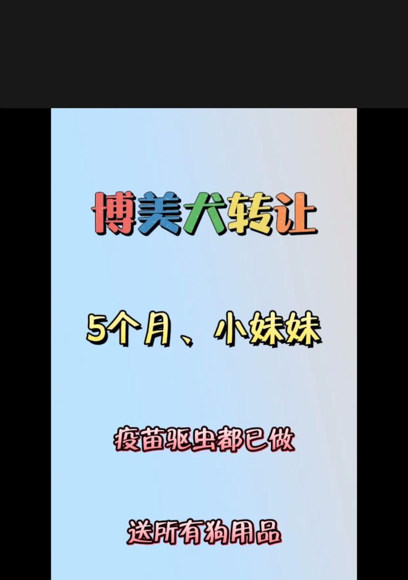 怀孕母狗的驱虫时间与方法解析（了解母狗驱虫的最佳时机及注意事项）
