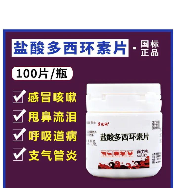 兽药治疗狗感冒的方法与注意事项（了解狗感冒症状，选择适当的兽药进行治疗）