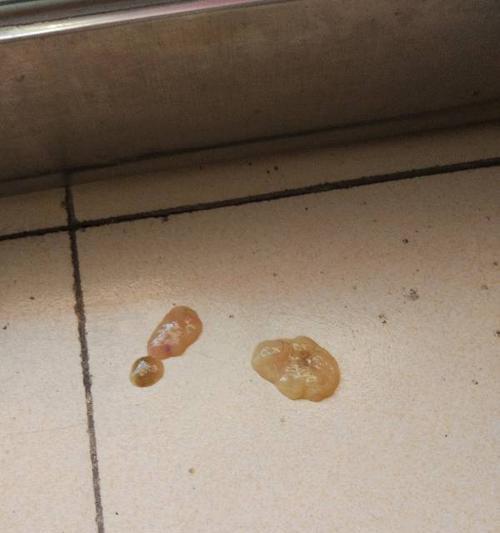 小狗吃针后多久能排出体外？（寻找解决方法，保护宠物的健康）