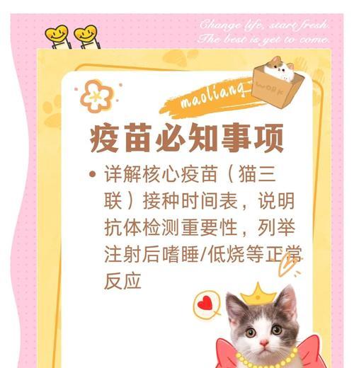 猫咪的健康保障——第二年疫苗的重要性（宠物养护必看，了解猫咪第二年打疫苗的时间和内容）