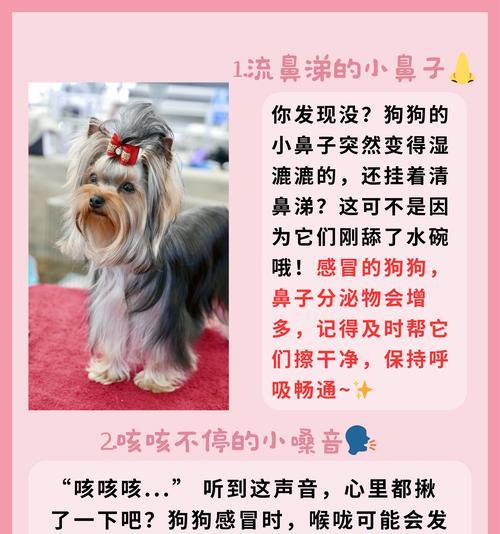 狗狗发烧的原因和症状（了解狗狗发烧的常见原因和相关症状，保护它们的健康）