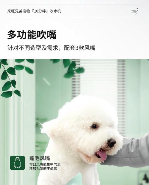 宠物拉毛（了解宠物拉毛周期及适当保持的关键）