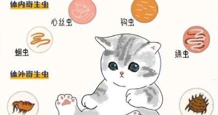 养猫必须定期外驱虫的重要性（为了宠物和家人的健康，定期驱除猫身上的寄生虫是必要的）