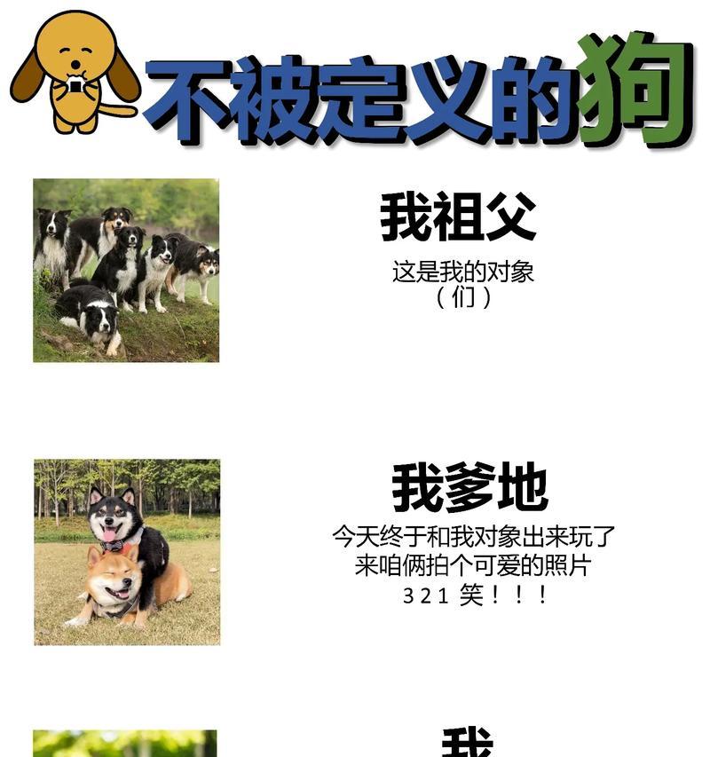 合理养狗，精打细算的费用清单（跟风养狗千万别盲目，避免经济压力增加）