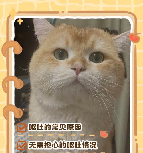 猫咪呕吐了怎么办？（了解常见的猫咪呕吐原因和处理方法，帮助您保护爱宠的健康）