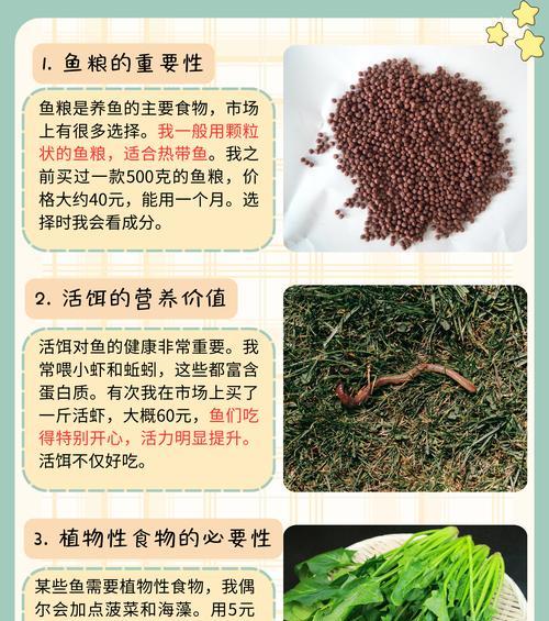 鱼苗投喂指南（科学饲养技巧，让鱼苗健康成长）